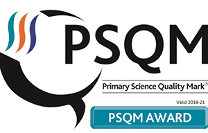 PSQM Award 2018 Logo